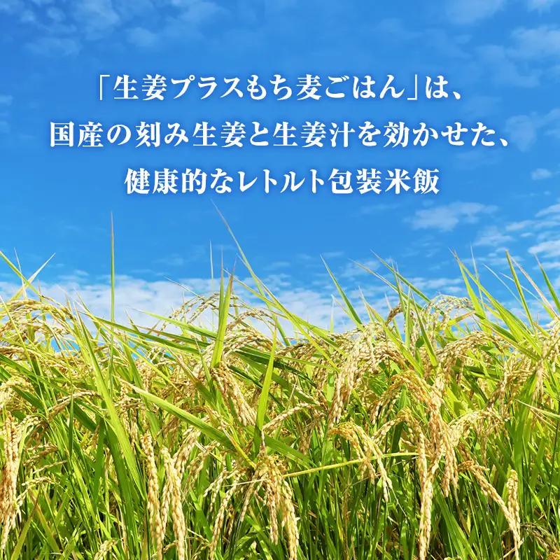 パックご飯 生姜プラス特別栽培米 もち麦ごはん 24個入り 3ヶ月定期便 静岡県 袋井市【離島配送不可】