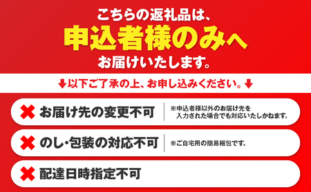 沖永良部島 の 島レモン シロップ （200ml） 2本 セット W011-114u レモン シロップ 国産 割るだけ レモネード レモンソーダ ホットレモン レモンサワー ジュース 飲料 柑橘 フル