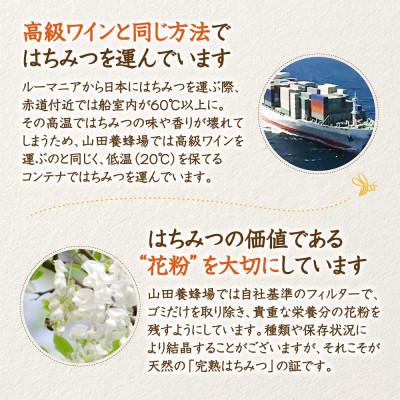 ふるさと納税 津山市 ルーマニア産アカシア蜂蜜300g(12025) |  | 03