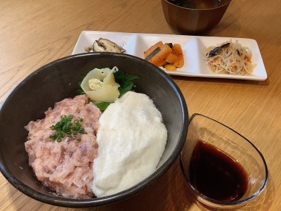 焼津温泉 元湯なかむら館 全館で使える クーポン券 (a10-880)