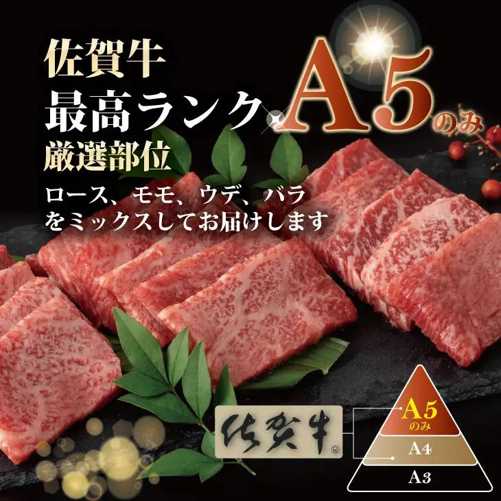 佐賀牛 焼肉  800g  焼肉 牛肉 厳選部位 C210-008