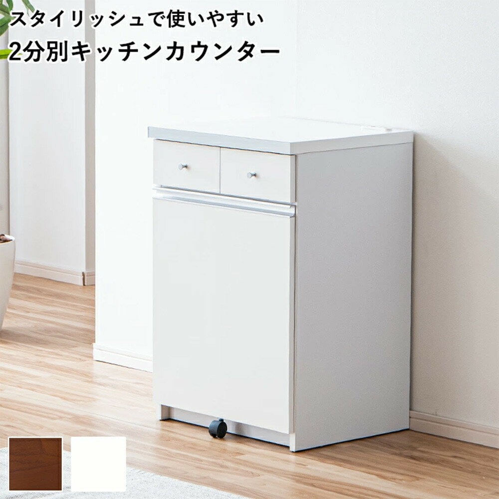 【ふるさと納税】大川家具 ゴミ箱 カウンター ダストカウンター 幅55cm コンセント付き ゴミの分別ができる【ホワイト】 | 家具 ファニチャー 人気 おすすめ 送料無料