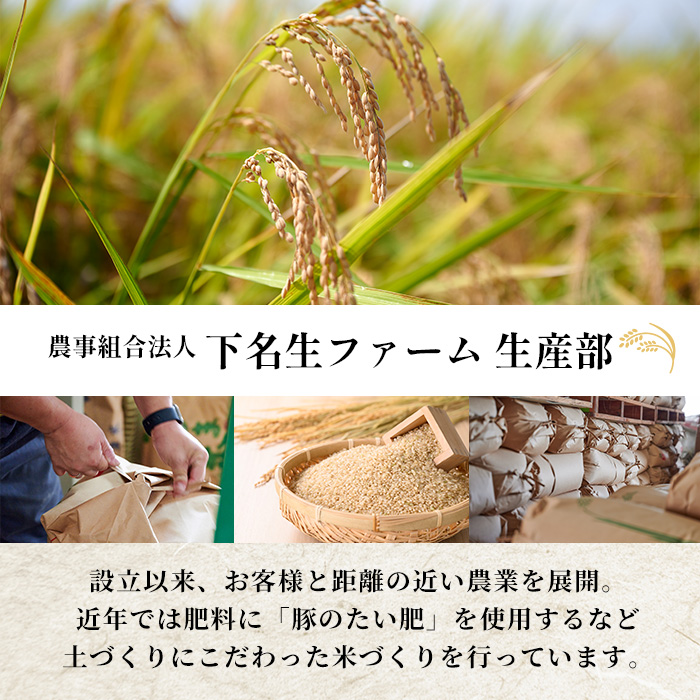 ＜先行予約！2025年11月から順次発送予定＞【令和7年産 新米】柴田町産 ひとめぼれ ＜玄米＞ 30kg お米 おこめ 米 コメ 白米 ご飯 ごはん おにぎり 宮城米 新米 令和7年産 お弁当 【下