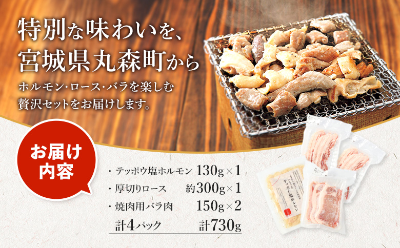 【古今東北】 丸森町大槻ファーム 豚肉3種セット(計730g）【30103】