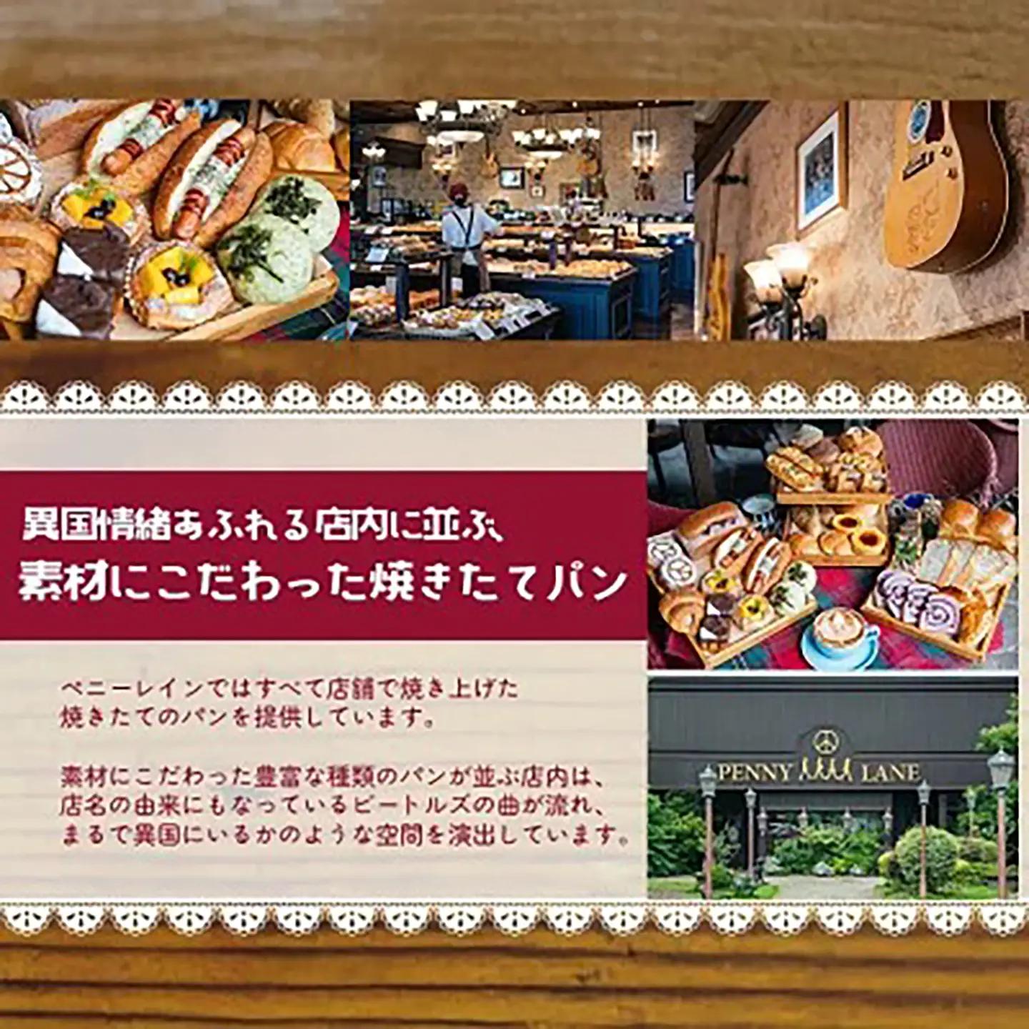 6ヵ月定期便 ブルーベリーブレッド2本＋おまかせ1本セット パン ベリー