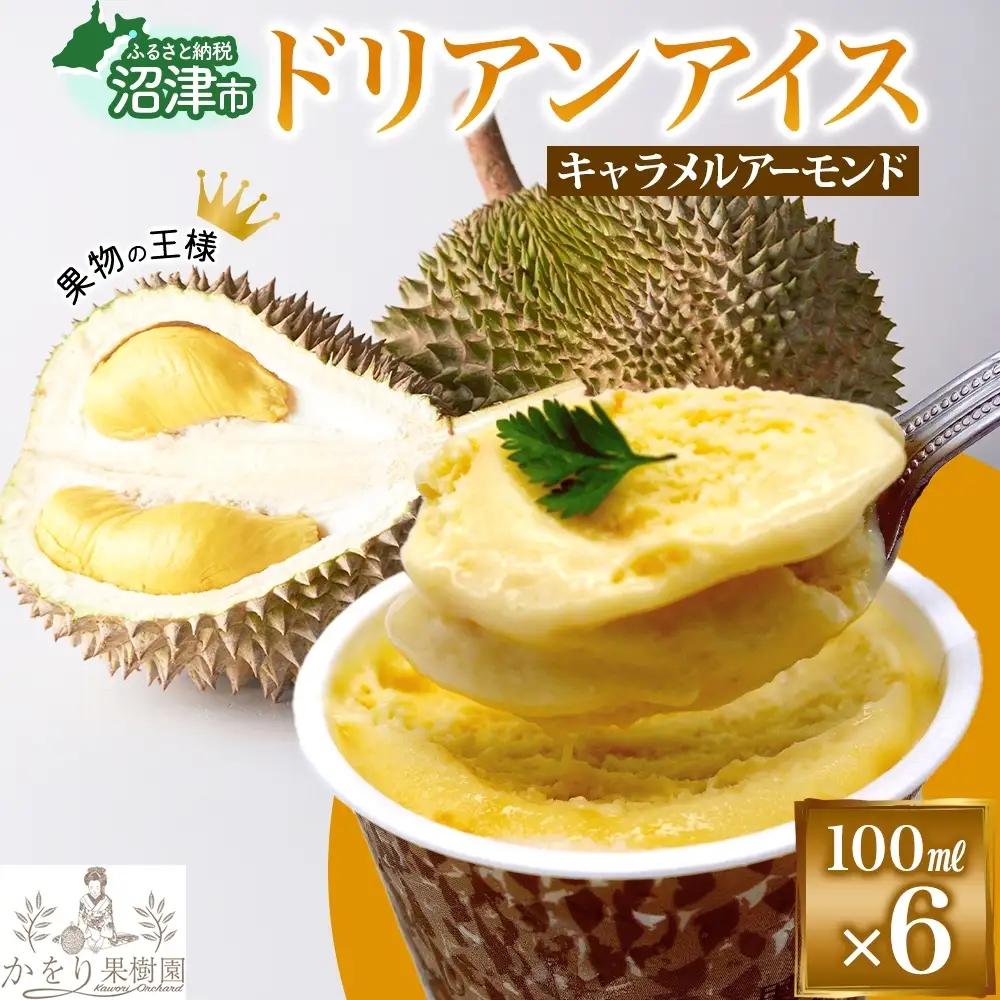 【予約受付】 ドリアン ココナッツ キャラメルアーモンド アイスクリーム 100ml 6個 ココナッツ キャラメル