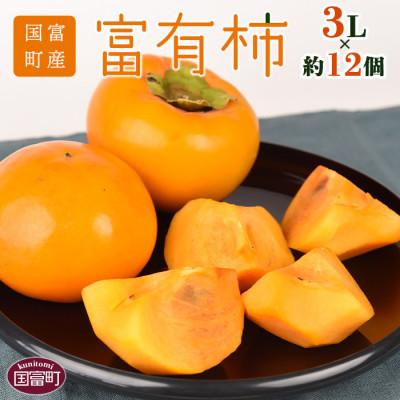 ふるさと納税 国富町 富有柿　3Lサイズ12個入り　4kg　宮崎県国富町