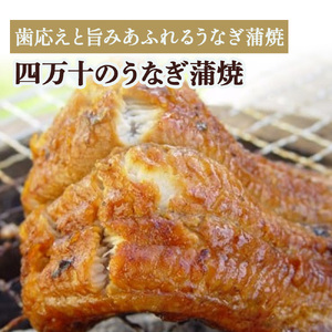 四万十のうなぎ蒲焼（3人前） 冷凍 特大 たれ付き うなぎ うなぎ蒲焼 高知うなぎ 国産うなぎ うな重 鰻 国産鰻 高知鰻 冷凍鰻 鰻蒲焼 四万十うなぎ ／Ess-B07