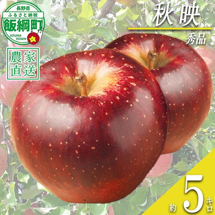 【ふるさと納税】 りんご 秋映 秀 5kg 光センサー選別品 ながの農業協同組合 沖縄県への配送不可 令和8年度収穫分 長野県 飯綱町 〔 信州 果物 フルーツ リンゴ 林檎 長野 16000円 予約 〕発送時期：2026年10月上旬〜2026年10月中旬 {***}