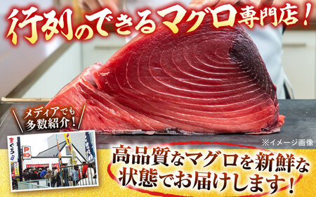 天然 まぐろ 中トロ メバチ（約450~500g（2柵入り））  【横須賀商工会議所 おもてなしギフト事務局（本まぐろ直売所 横須賀本店）】[AKAK094]