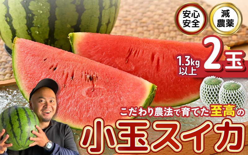 
                  【先行予約】 安心安全！減農薬！こだわり農法で育てた至高のピノガール (小玉スイカ) 2玉 (1玉あたり：1.3kg以上) 【2027年7月中旬頃順次発送予定※下旬お届け不可】 【スイカ 西瓜 すいか デザート 果物 くだもの 夏 甘い ジューシー 旬の果物 産地直送 国産】 [A-21215]
                