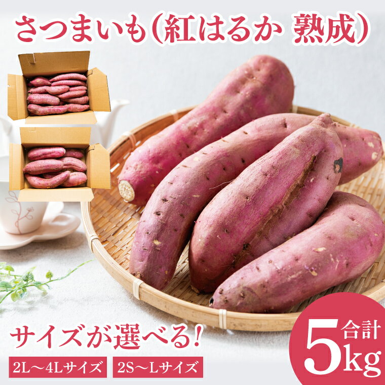 【ふるさと納税】【先行予約】【訳あり 不揃い】【選べるサイズ】完熟高糖度 さつまいも（紅はるか）約5kg 【熟成 サツマイモ 焼き芋 訳あり キュアリング 茨城県 鹿嶋市産】【2025年12月～順次発送】（KDV-001 | KDV-002）