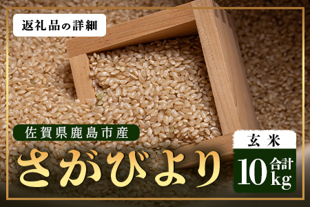 先行受付【鹿島市産】＼生産者直送／ さがびより 玄米10kg 佐賀県 鹿島市 D-249