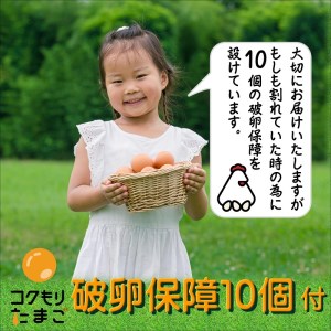 【B4-059】養鶏場直送！松浦の赤たまご『コクもりたまご』大きめサイズ70個+破卵保障10個