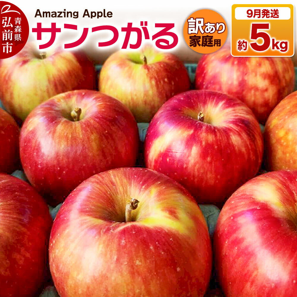 【ふるさと納税】【26年9月発送】りんご サンつがる【訳あり】家庭用 約5kg [青森産 りんご サンつがる アップル 林檎 リンゴ 果物 果実 美味 青森県 弘前市]