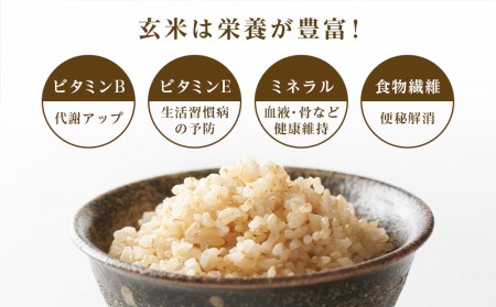 【令和7年産】【定期便3回】ふっくりんこ 玄米 5kg 《杉本農園》