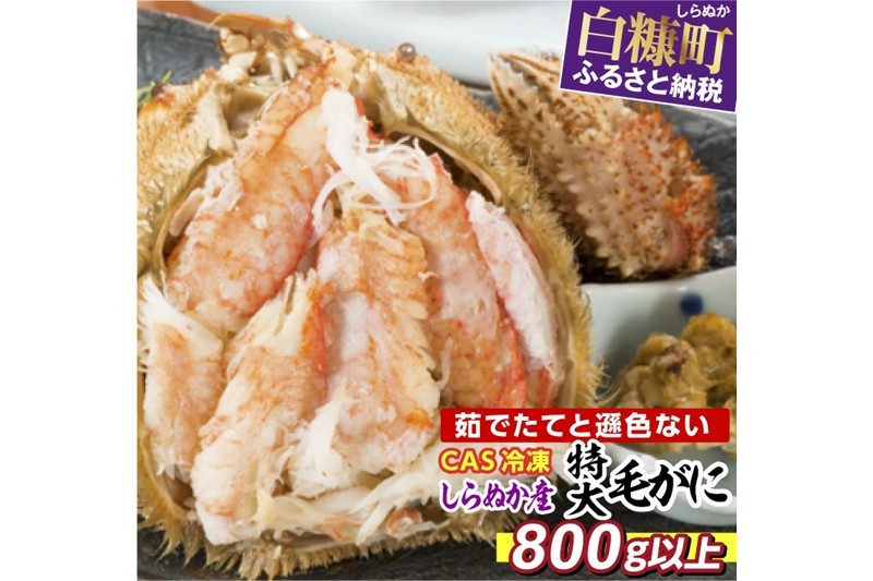 
                  しらぬか産 CAS冷凍特大サイズ毛がに 800g以上 毛ガニ 毛がに カニ かに 蟹 冷凍 ボイル かにみそ 甲羅盛り 旨味 濃厚 特大 解凍するだけ ギフト ふるさと納税 ふるさとチョイス チョイス 北海道 白糠町
                