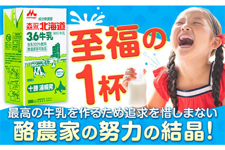 牛乳 北海道 森永北海道3.6牛乳 常温長期保存 大容量 1000ml×12本入り 1L 12L 十勝森永浦幌乳業 北海道 浦幌町 送料無料 乳 3.6 牛乳 ミルク 牛乳パック 濃厚 浦幌工場直送 
