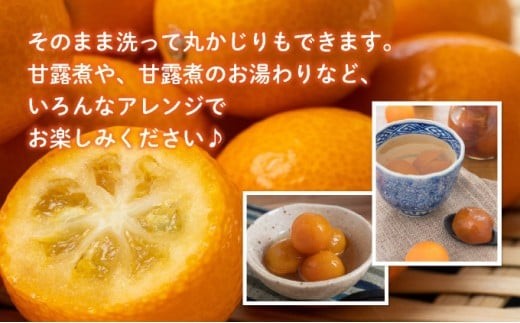 【先行予約】＜2026年発送＞温室金柑 1kg 3箱（250g×12パック） 果物 果肉 果汁 フルーツ デザート おやつ スイーツ 金柑 完熟 完熟きんかん 完熟金柑 おすすめ 贈り物 贈答 プレゼ
