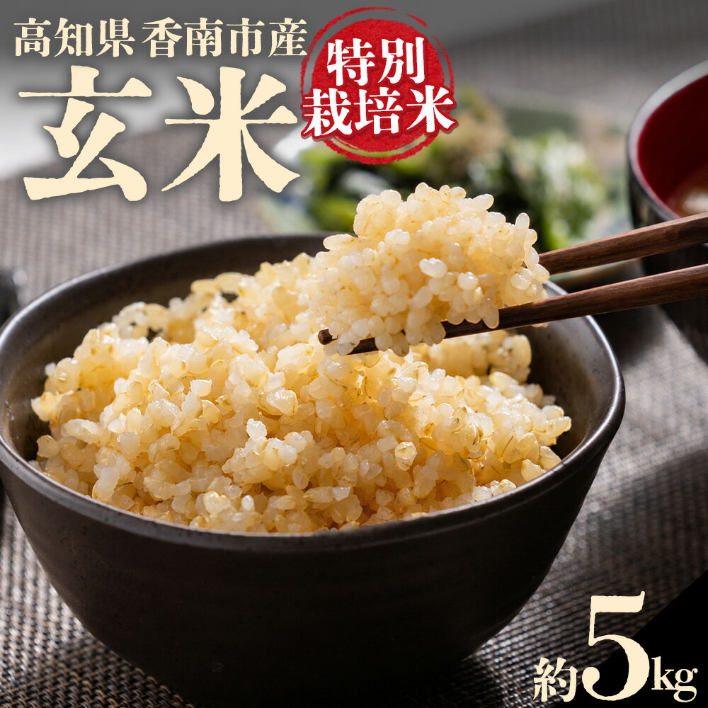 【ふるさと納税】令和8年度産 特別栽培米 玄米 約5kg - コシヒカリ こしひかり お米 こめ ご飯 げんまい 穀物 お取り寄せ キロ ふっくら 冷めても美味しい 甘み お弁当 おにぎり 栄養 和食 国産玄米 国産 産地直送 こなつファーム 高知県 香南市 【常温】
