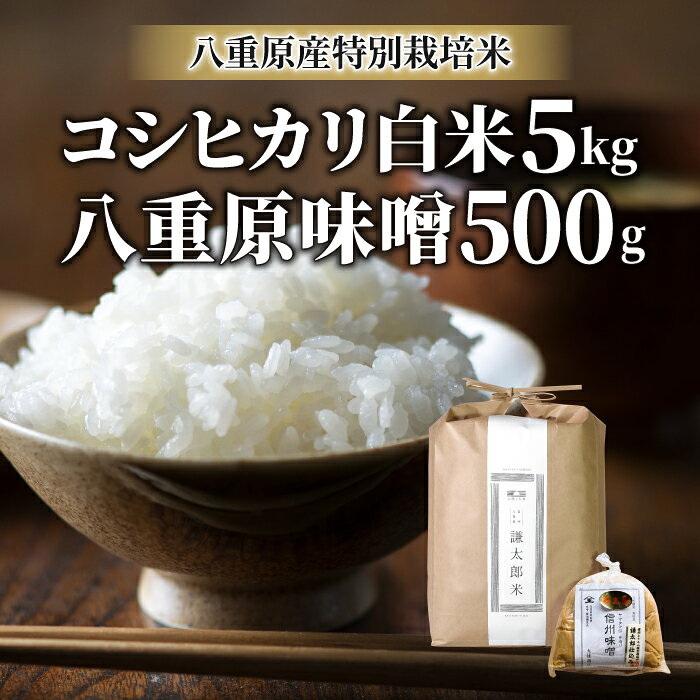 【ふるさと納税】【令和8年産 新米】八重原産コシヒカリ 白米「謙太郎米」5kgと信州味噌「八重原味噌」500gセット ｜【太陽と大地】特別栽培米（減農薬・減化学肥料栽培）大桂商店
