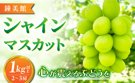 【先行受付2026年発送】標高750mで育ったシャインマスカット1キロ以上（2～3房）｜鐘美館　※2026年10月上旬以降順次発送