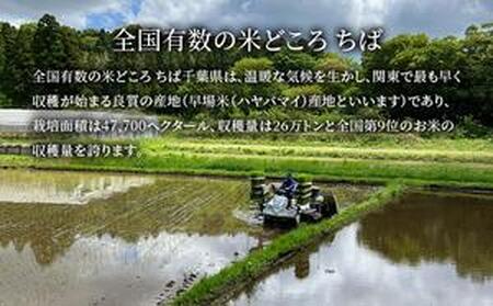 コシヒカリ 白米 令和7年産 千葉県産 コシヒカリ【10kg(5kg×2)】【定期便4ヶ月】