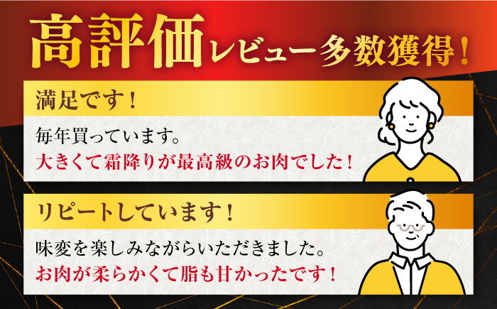 【6回定期便】 佐賀牛 ロース ステーキ用 500g (2枚入りセット)【桑原畜産】 NAB063