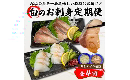 <春からお届け>【全4回】 旬のお刺身定期便 (2~3人前×2種類) 魚 切身 鮮魚 刺身セット 刺身2種盛り 刺身 お刺身 お刺し身 魚介 海の幸 小分け 個包装 冷凍 鯛 カワハギ スズキ イカ サワラ タコ ハマチ ヒラメ 愛媛県 松山市