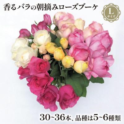 ふるさと納税 藤枝市 静岡県藤枝市　香るバラの朝摘みローズブーケ　生花 ギフト　Lサイズ
