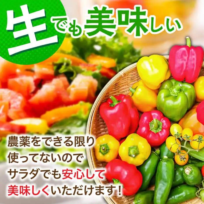 【全6回定期便】農家セレクト！特別栽培 日田の厳選食材 詰め合わせ日田市 野菜 果物 米 産地直送 新鮮 セット[ARBR003]