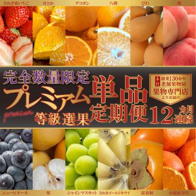 ふるさと納税 観音寺市 【発送月固定定期便】<完全数量限定>旬を見極め一品!プレミアム等級選果12ヶ月連続単品定期便全12回