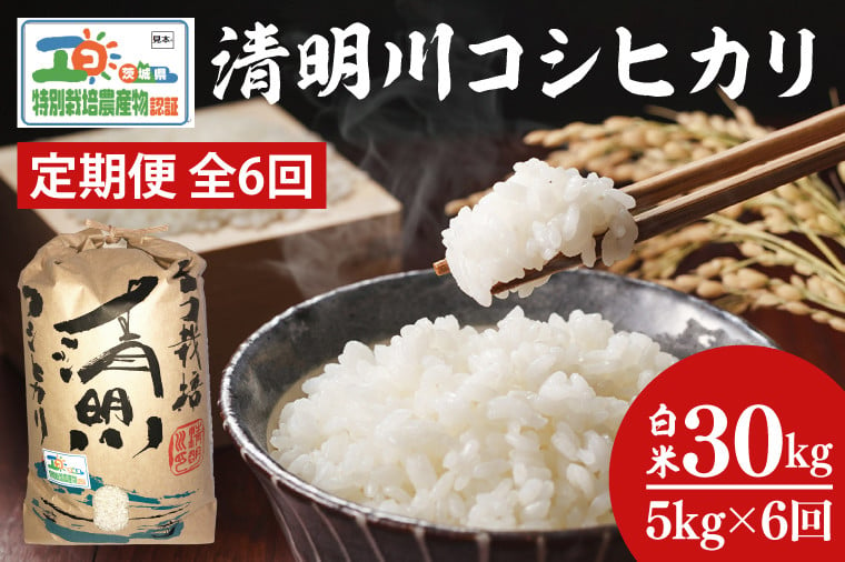 
            04-04【6ヶ月定期便】茨城県特別栽培認証 清明川コシヒカリ白米5kg【令和6年産新米】【米 おこめ こしひかり  特別栽培米 農家直送 直送 茨城県 阿見町】
          