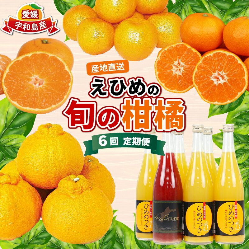 【ふるさと納税】 愛媛みかん えひめの旬の柑橘 産地直送 6回 定期便 えひめ南農業協同組合直販センター JA 早生温州 南柑20号 ポンカン 約10kg デコポン 約5kg 河内晩柑 約8kg ひめのつき ブラッドオレンジ ジュース セット 6本 フルーツ 愛媛 宇和島 B120-009012