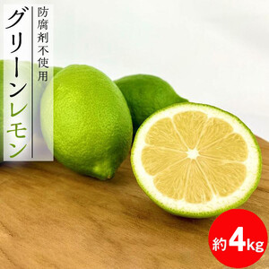【レモン島から贈る】安心の国産グリーンレモン4kg 2026年10月下旬より発送予定