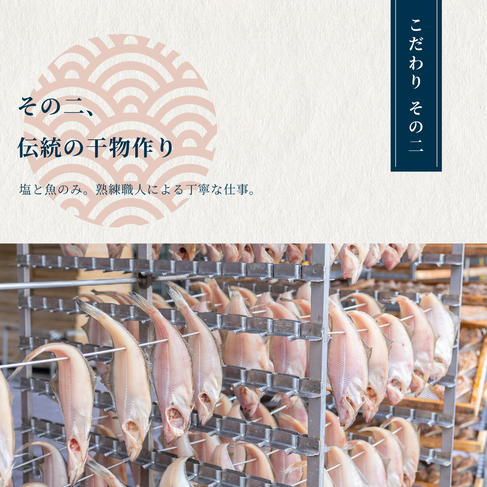 10月以降発送 【訳あり】 干物 約2.8kg 3〜5種類 セット | 塩のみ 詰め合わせ 冷凍 カレイ あじ サバ イサキ トビウオ 鯛 タイ ひもの 不揃い おすすめ お取り寄せ 魚 冷凍 新鮮 