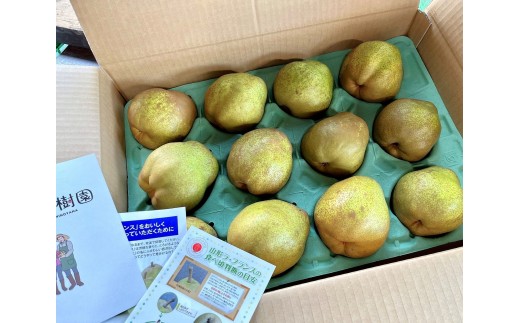 西洋梨（ラ・フランス）５ｋｇ　１０～１４玉　0079-2619