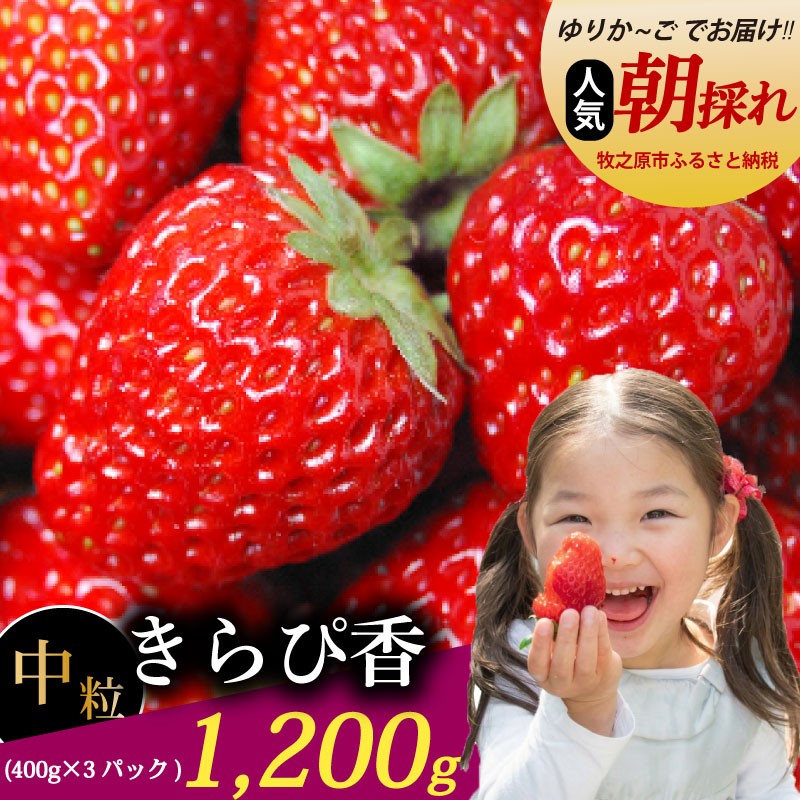 
                  いちご きらぴ香 1.2kg 400g × 3パック 冷蔵発送 きらぴか 苺 イチゴ ゆりかーご 土耕栽培 フルーツ 果物 スイーツ デザート 朝摘み ストロベリー おやつ 完熟 直送 ギフト 家庭用 贈答用 贈答 ギフト 贈り物 甘い ブランド ジャム アレンジ 農家直送 ベリー 産地直送 国産 おすすめ 森木農園 静岡県 牧之原市 ~土耕栽培だから濃くて甘い!~ 牧之原いちご 静岡いちご 国産
                