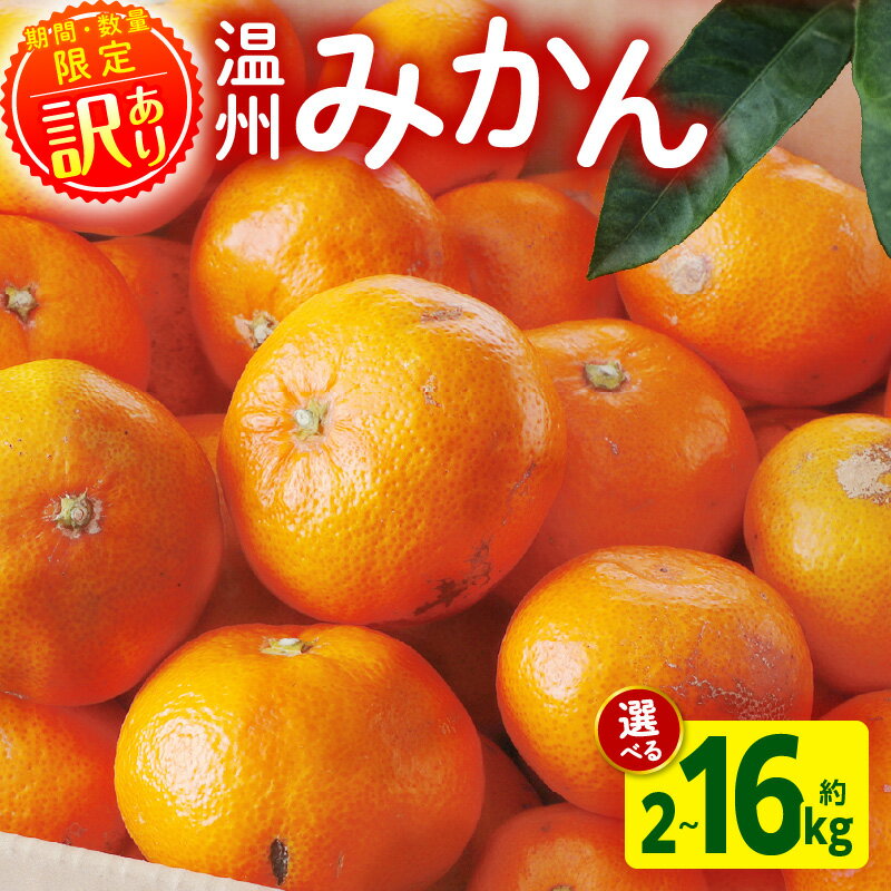 【ふるさと納税】《2025年～2026年発送》【数量・期間限定】【選べる内容量】《訳あり》温州みかん(傷み補償分200g付き) みかん 果物 柑橘 フルーツ スイーツ デザート 青果物 青果 柑橘類 訳あり品 打ち身 着色 黒点 規格外 傷 グルメ ストック 宮崎市 送料無料
