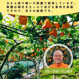 ＜2025年９月～発送＞【河内長野産】天野の梨　8~11玉 期間限定 フルーツ 果物 なし 旬 河内長野 送料無料 ※発送前の注意事項を十分ご確認ください※