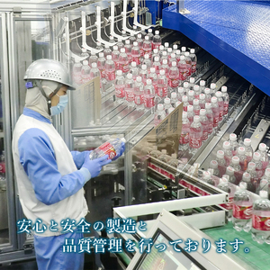 【2ヶ月お届け！】炭酸水 ウィルキンソン タンサン PET1L×2箱 (24本入) 定期便  炭酸水 炭酸 炭酸飲料 強炭酸 山梨 富士吉田