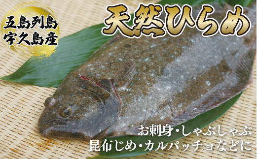 
            A194p 五島列島天然ひらめ
          