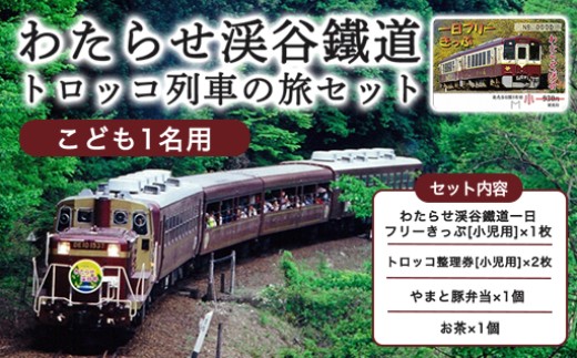 
                  わたらせ渓谷鐵道「トロッコ列車の旅セット」 ※こども１名用
                