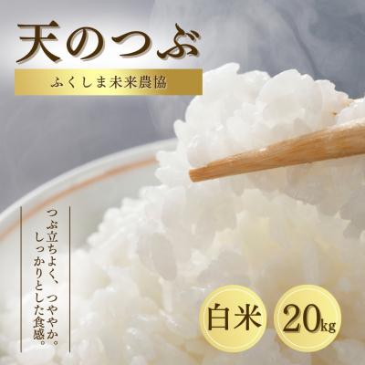 ふるさと納税 南相馬市 白米 20kg 天のつぶ 令和7年産 | 精米 米5kg コメ お米 米 大粒 ふくしま未来農協