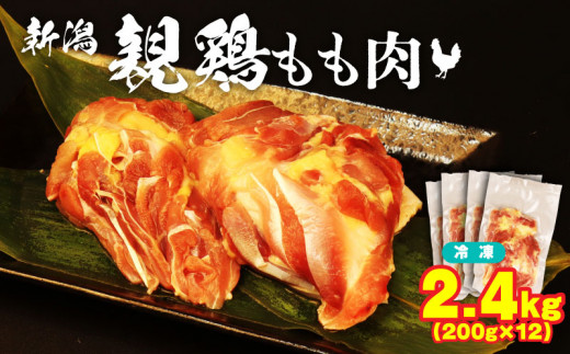 親鶏 もも肉 2.4kg 200g × 12 パック 鶏肉 鶏 チキン タンパク もも 肉 とり にく お家ごはん 国産 県産 親鳥 鳥肉 精肉 ブランド鶏 鍋 汁物 郷土食 新潟親鶏 冷凍 小分け 新潟産 新発田産 マルコ岩村 新潟県 新発田市