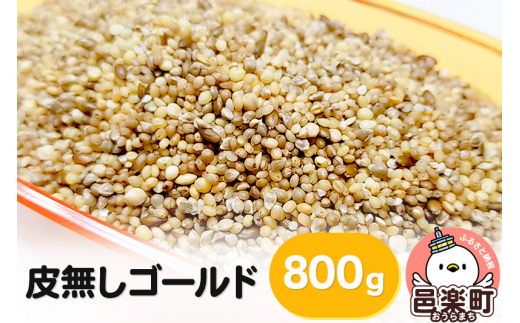 
皮無しゴールド 800g×1袋 サイトウ・コーポレーション 飼料
