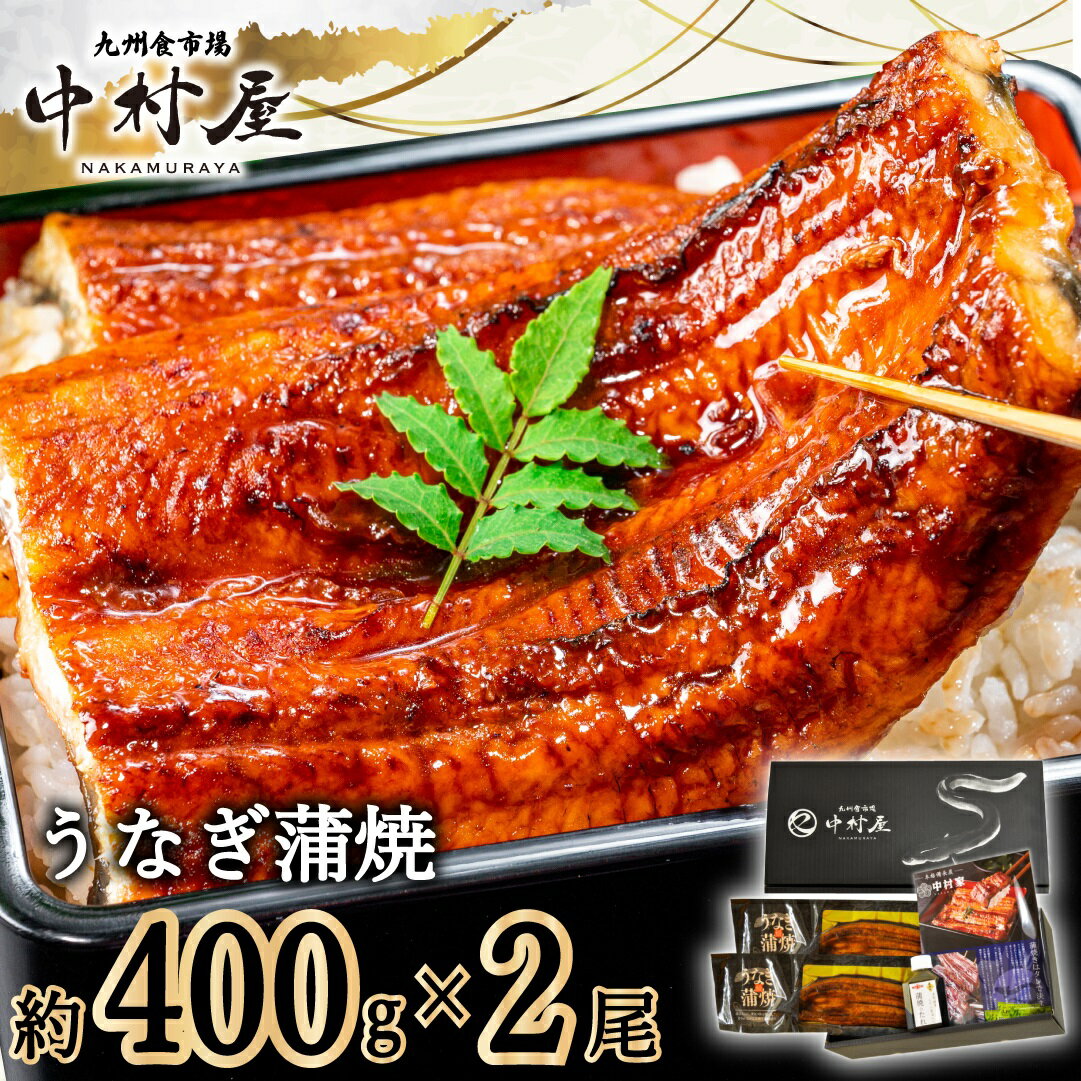 【ふるさと納税】伝統酵母　うなぎの蒲焼　千栗　400g前後×2尾(FM060)