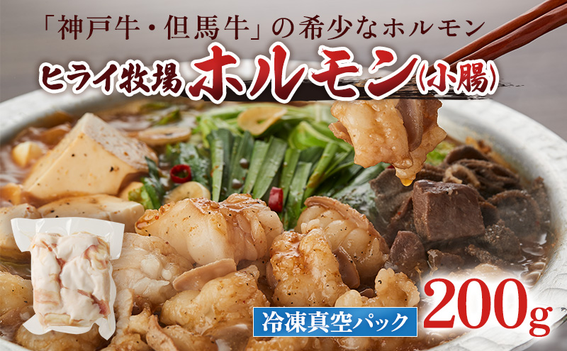 【神戸牛・但馬牛】希少 ホルモン 小腸 200g 国産牛 冷凍 もつ鍋 牛肉 お肉 年内配送 within2025
