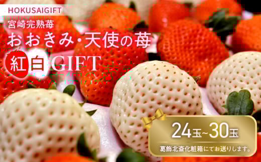 《2026年発送》【数量・期間限定】HOKUSAIGIFT宮崎完熟苺おおきみ・天使の苺紅白_M279-001