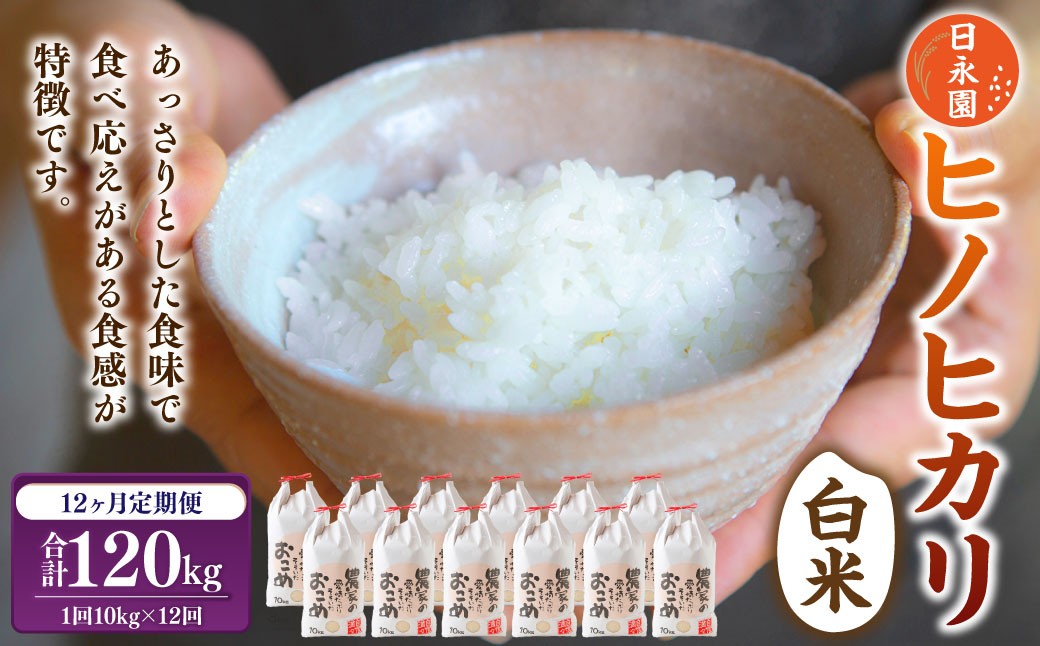 
            【定期便】日永園 ヒノヒカリ 白米 10kg×12ヶ月 【2025年11月下旬より発送予定】 米 お米 ご飯  うきは市
          